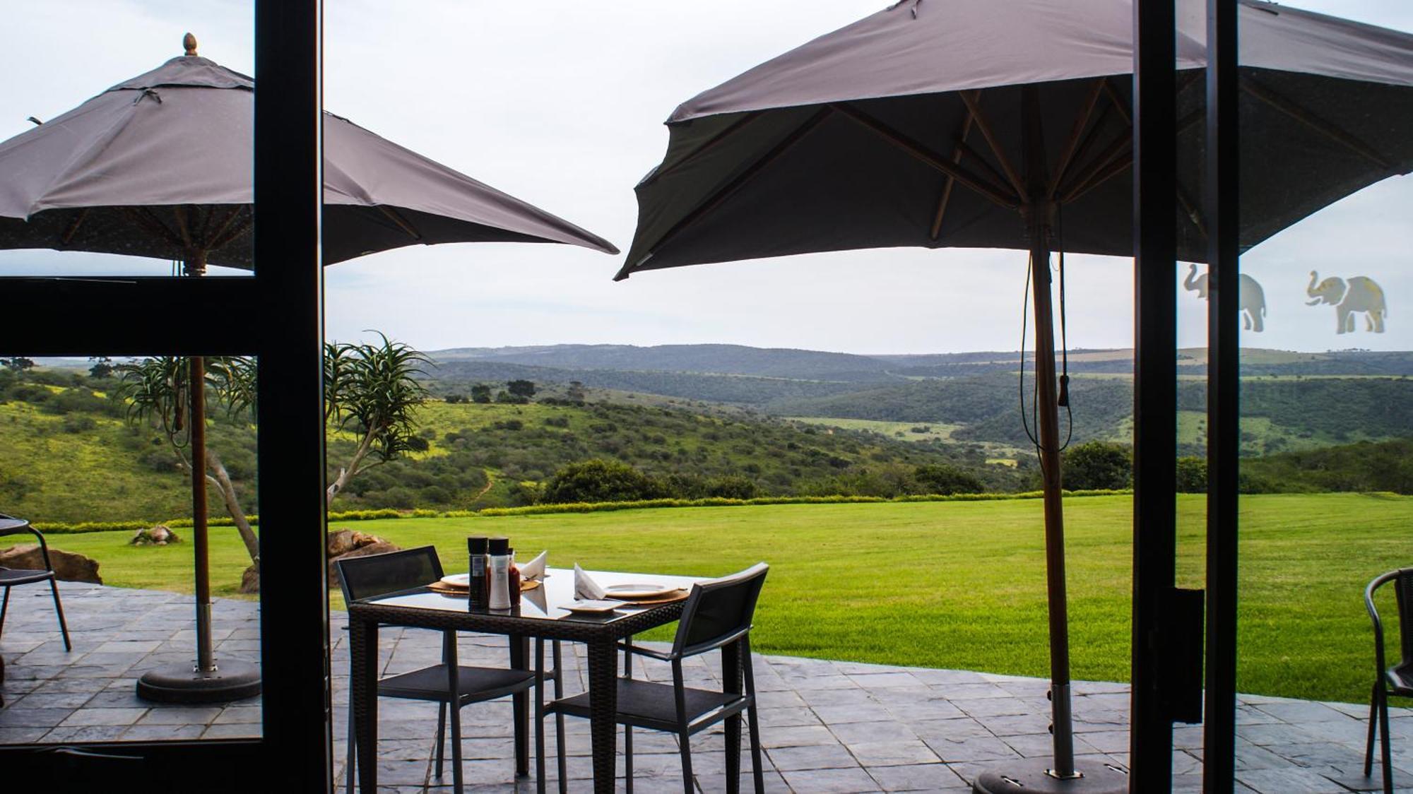 Umbono Private Game Lodge Alexandria  Exteriör bild