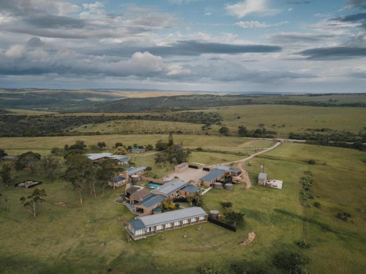 Umbono Private Game Lodge Alexandria  Exteriör bild
