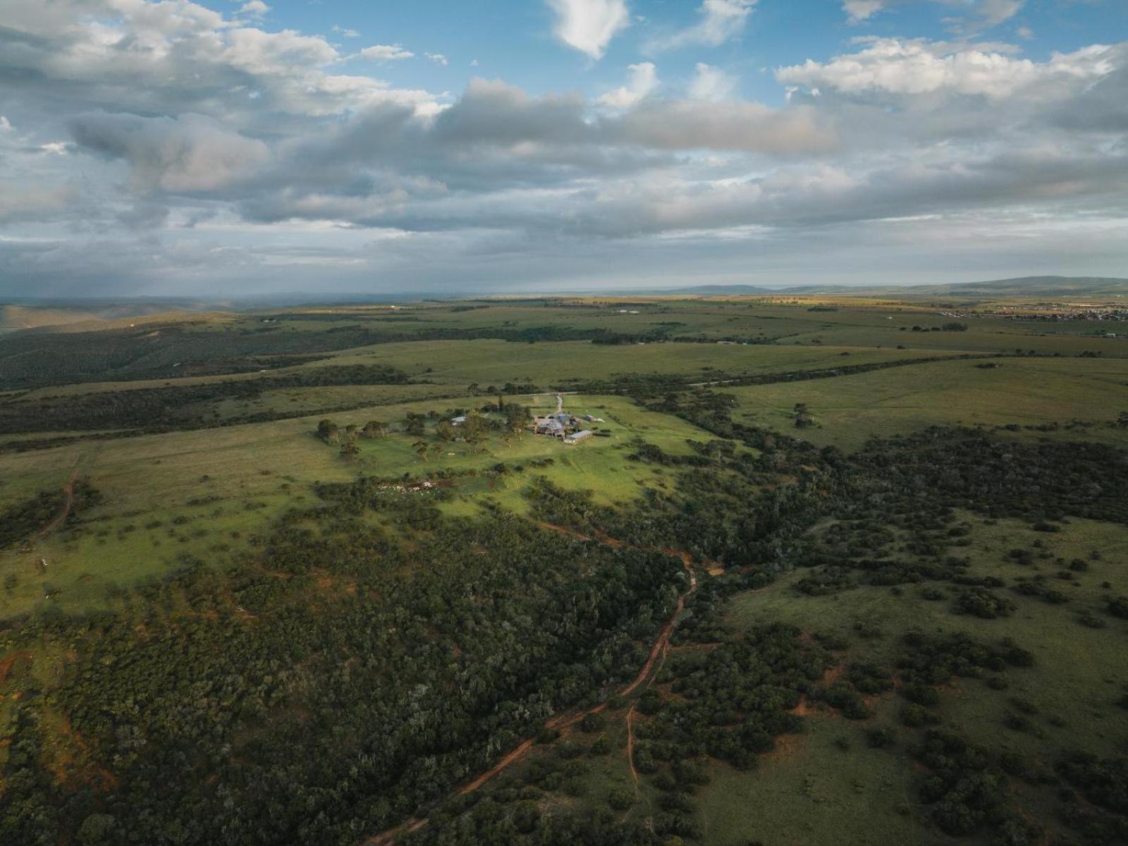 Umbono Private Game Lodge Alexandria  Exteriör bild