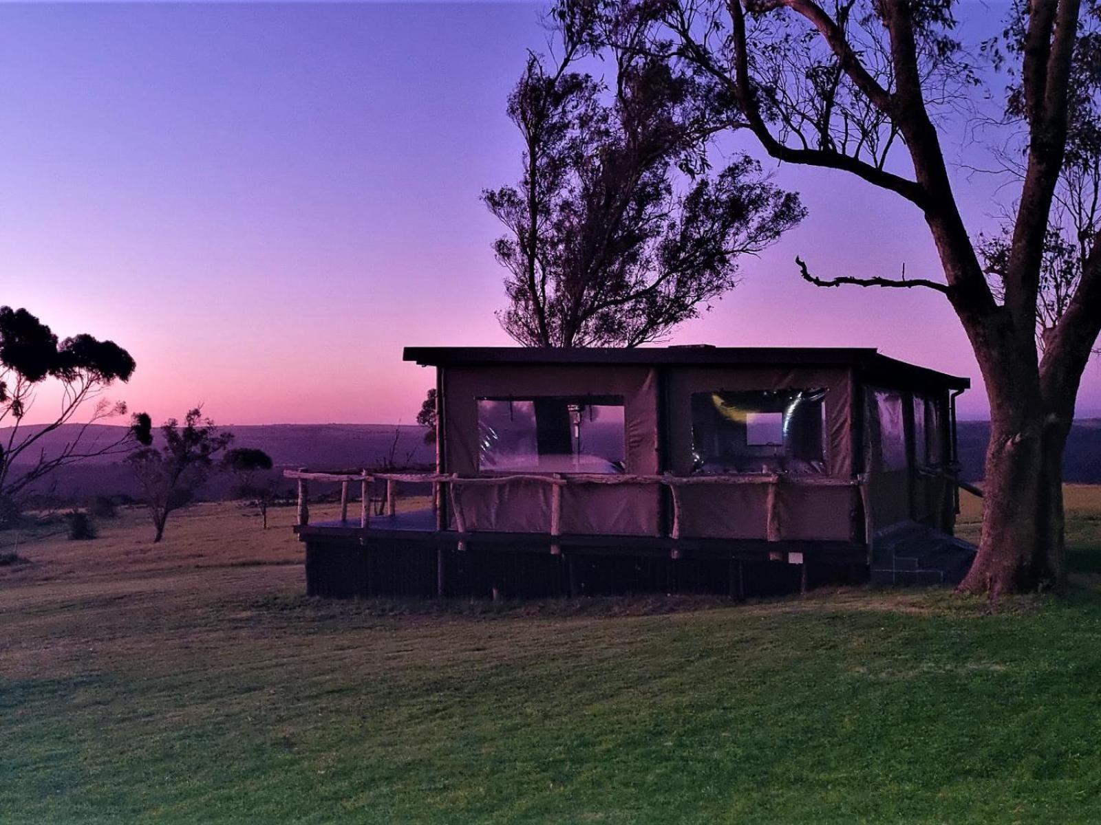 Umbono Private Game Lodge Alexandria  Exteriör bild